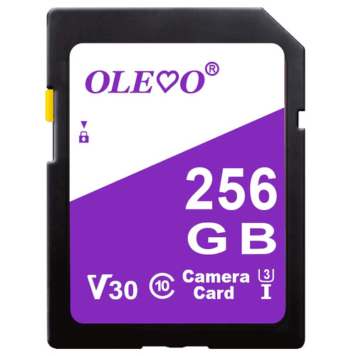 Scheda memoria 64 gb - 64,