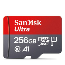 Scheda SanDisk Ultra Micro SD