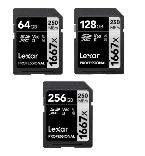 Lexar sdxc 1667x - sdxc, 64–256gb