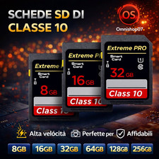 Scheda SD Classe 10 Alta