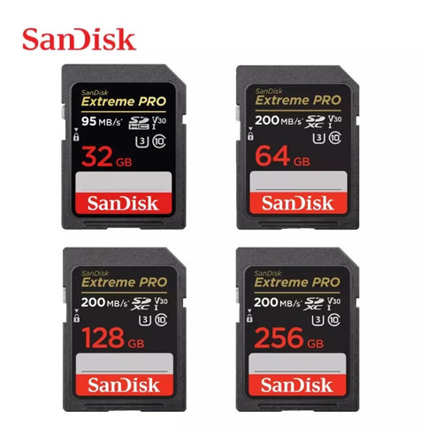 Scheda sandisk extreme - sd, pro