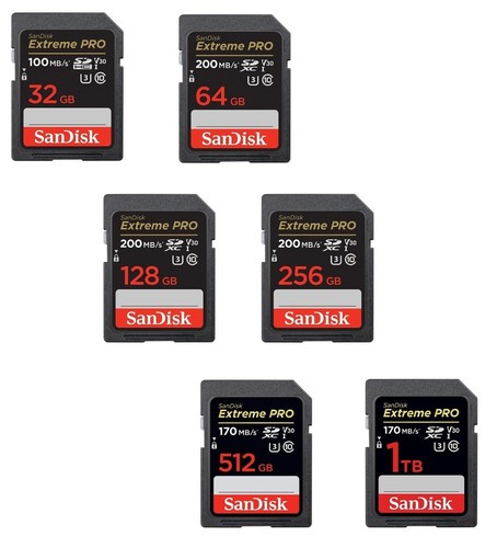Scheda sandisk extreme - extreme, pro